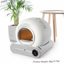 Alfonso kitty litter box hot sale